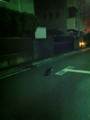 20101031005012