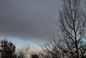 f:id:slowlearner_m:20110130160742j:image