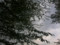 20110421155343