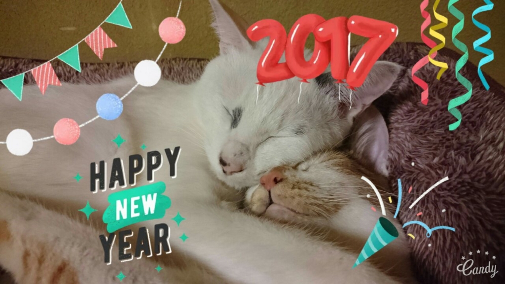 f:id:slowpace00:20170107150815j:plain f:id:slowpace00:20170107150815j:plain