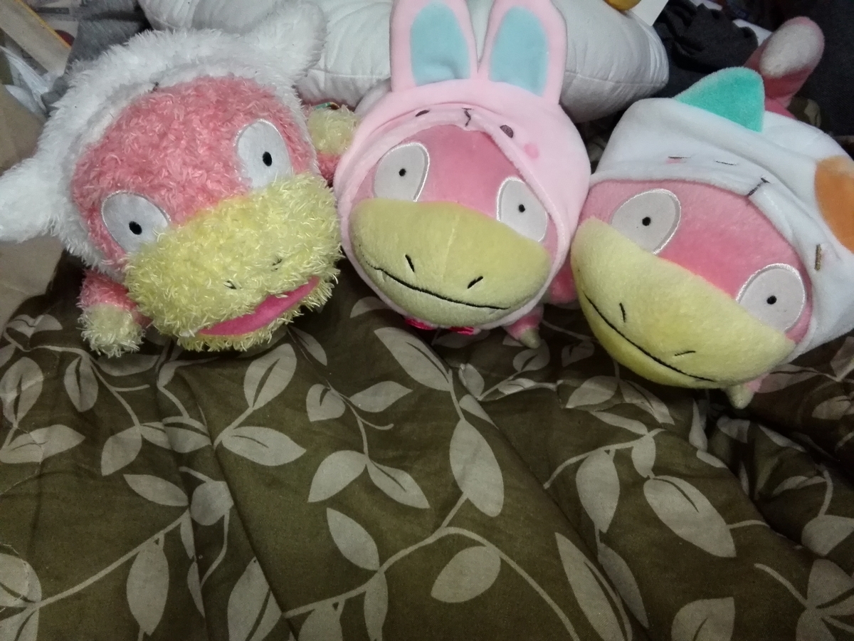 f:id:slowpoke_of_sano-family:20190501235825j:plain f:id:slowpoke_of_sano-family:20190501235825j:plain
