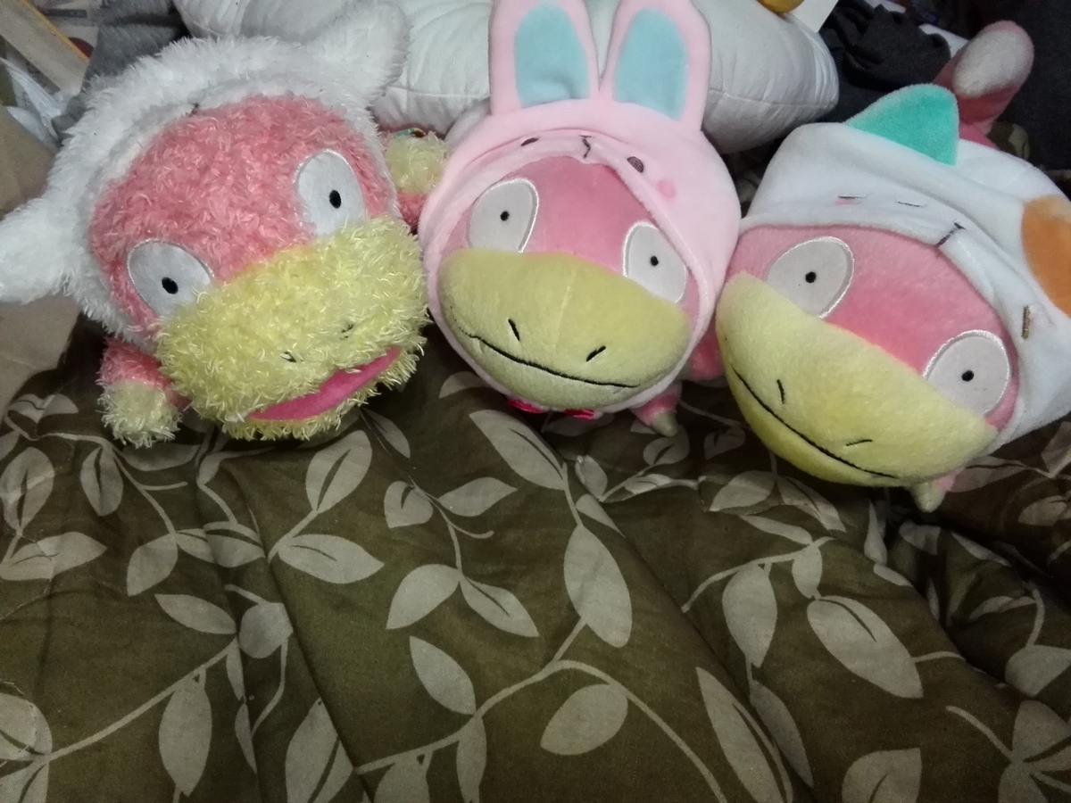 f:id:slowpoke_of_sano-family:20190501235825j:plain