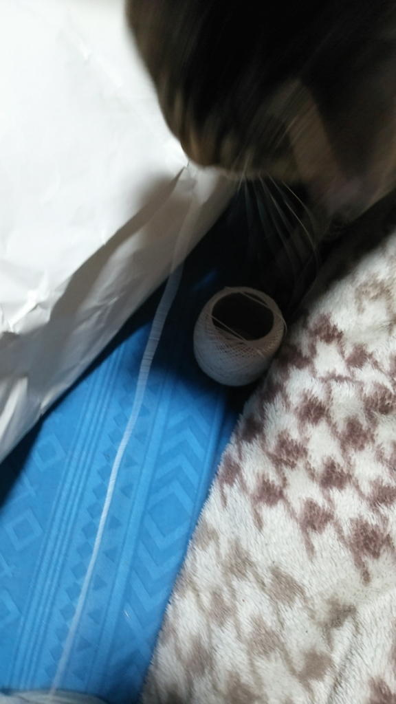 f:id:slowstudy:20170311181937j:plain