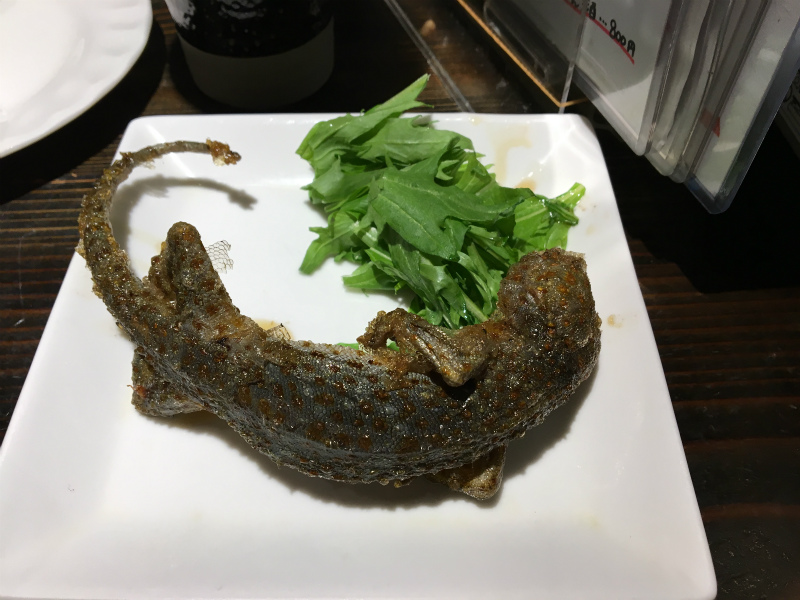 ゴールデンカムイ リスやヒグマの肉ってどんな味 珍獣屋でジビエ料理 とゲテモノ料理 を食べてみた ヒンナヒンナ あと５分夢が見たい