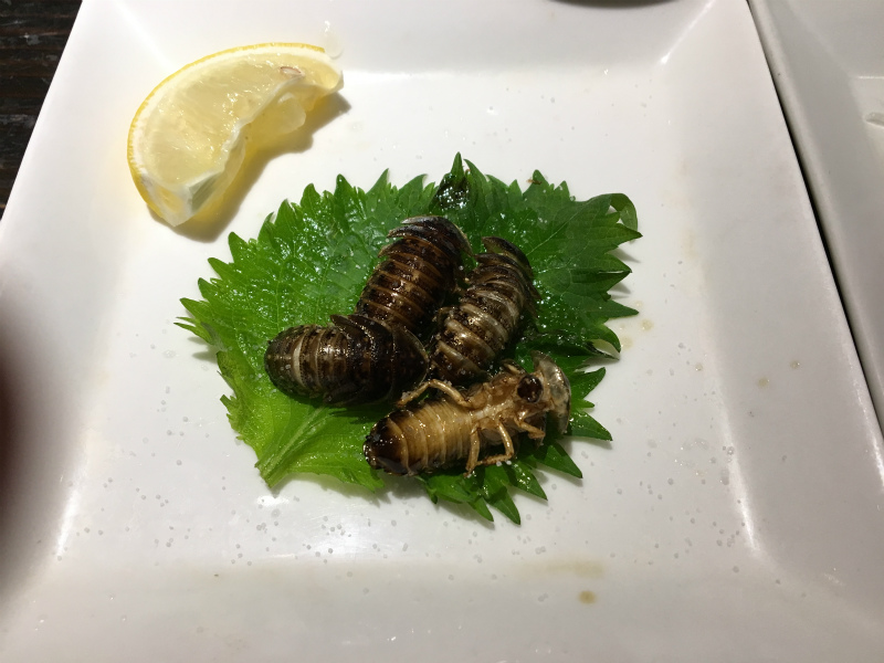 ゴールデンカムイ リスやヒグマの肉ってどんな味 珍獣屋でジビエ料理 とゲテモノ料理 を食べてみた ヒンナヒンナ あと５分夢が見たい