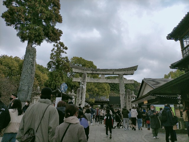 f:id:sm-sgmtm:20221231194805j:image