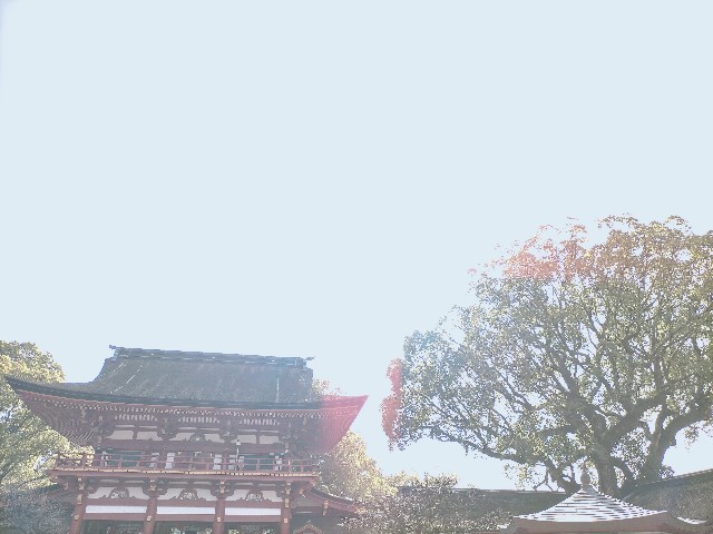 f:id:sm-sgmtm:20221231194939j:image