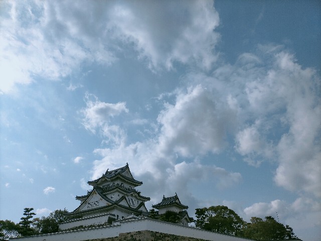 f:id:sm-sgmtm:20230125121957j:image