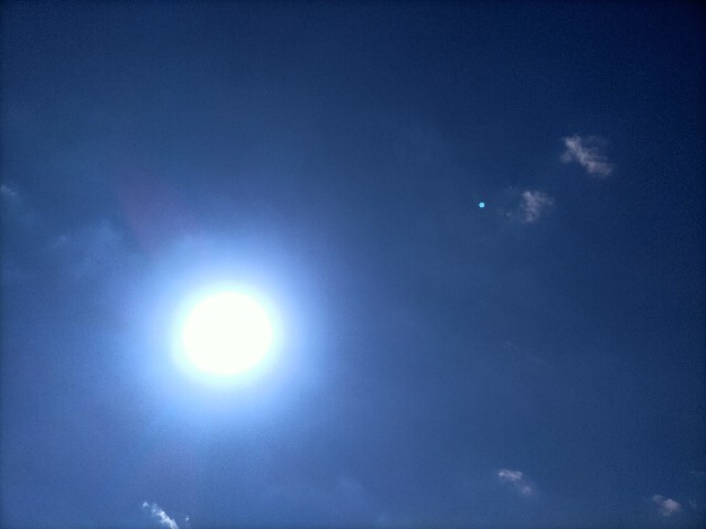 f:id:sm-sgmtm:20230420193056j:image