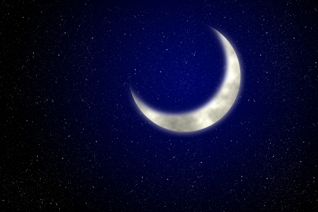 f:id:sma425:20211127202728j:plain
