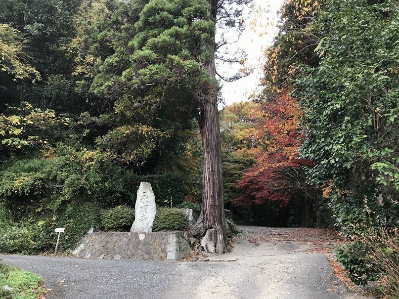 f:id:smachida:20181118082326j:plain