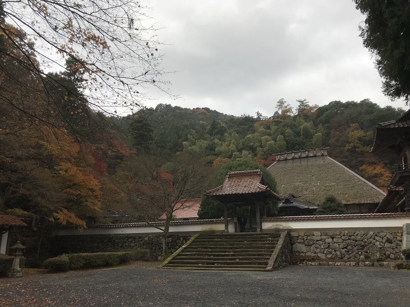 f:id:smachida:20181118082831j:plain