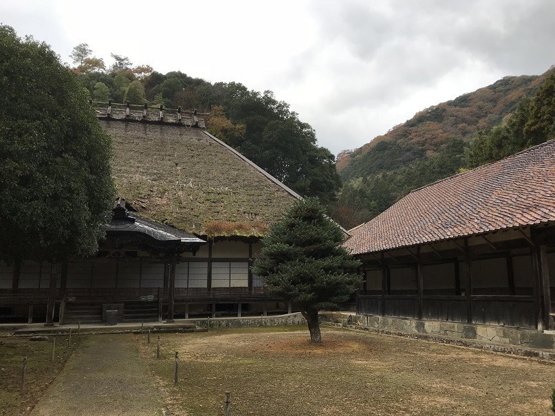 f:id:smachida:20181118083048j:plain