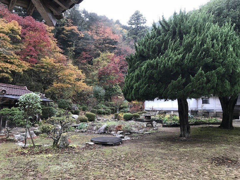 f:id:smachida:20181118083053j:plain