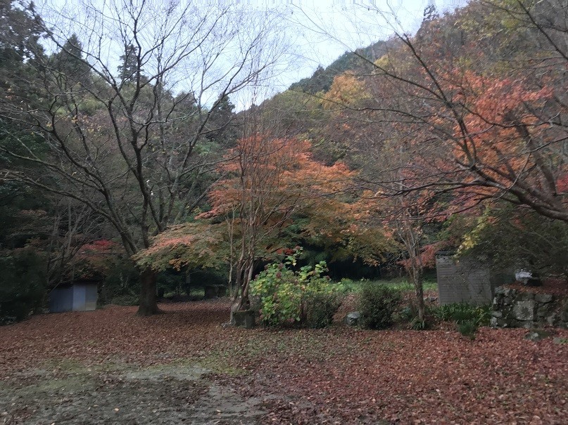 f:id:smachida:20181118083911j:plain