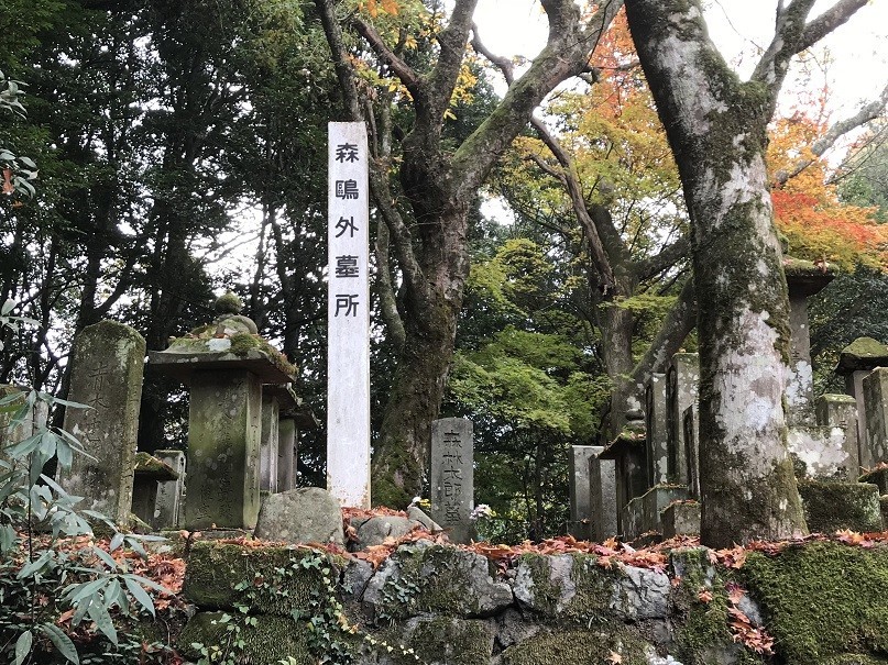 f:id:smachida:20181118090615j:plain