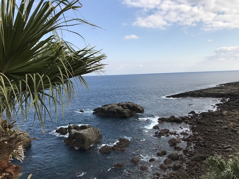 f:id:smachida:20190113143800j:plain f:id:smachida:20190113143800j:plain