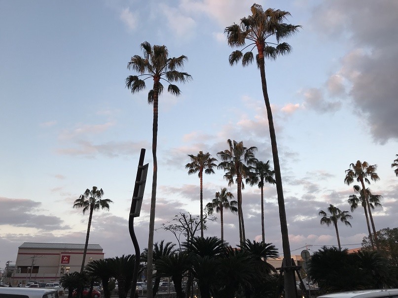 f:id:smachida:20190113171919j:plain f:id:smachida:20190113171919j:plain