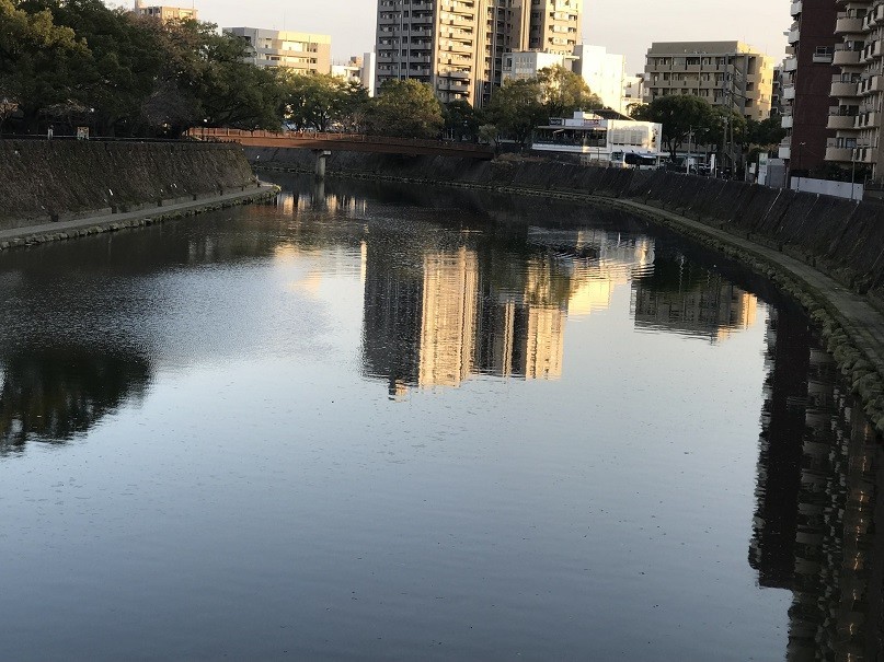 f:id:smachida:20190202170541j:plain f:id:smachida:20190202170541j:plain