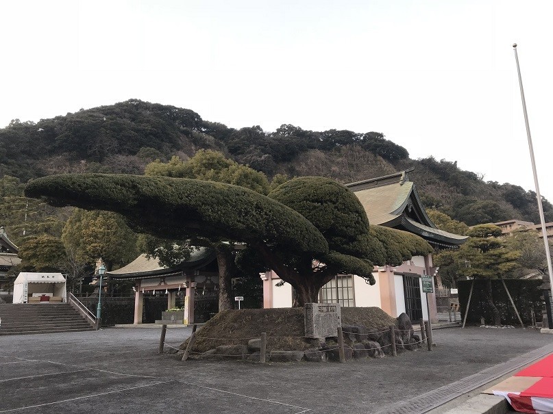 f:id:smachida:20190202174951j:plain f:id:smachida:20190202174951j:plain