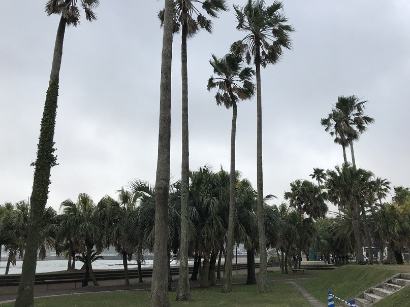f:id:smachida:20190425135030j:plain