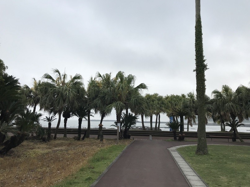 f:id:smachida:20190425135038j:plain