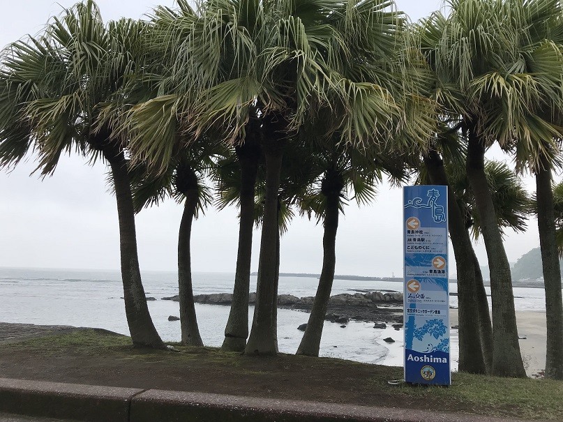 f:id:smachida:20190425135101j:plain