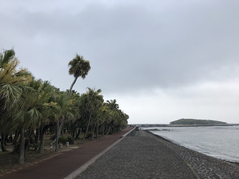 f:id:smachida:20190425135144j:plain