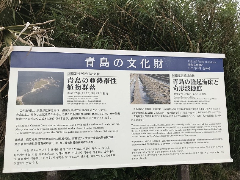 f:id:smachida:20190425140532j:plain