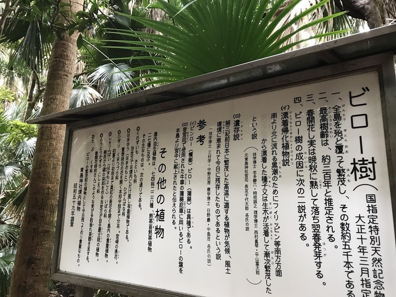 f:id:smachida:20190425142053j:plain