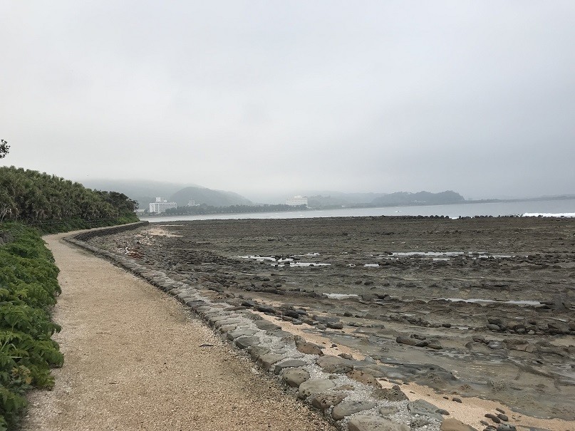 f:id:smachida:20190425143650j:plain