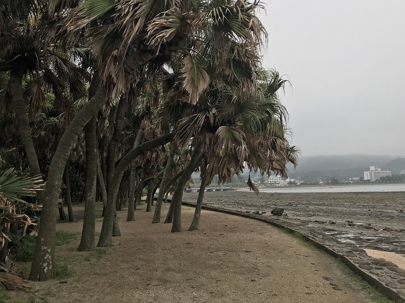 f:id:smachida:20190425143924j:plain