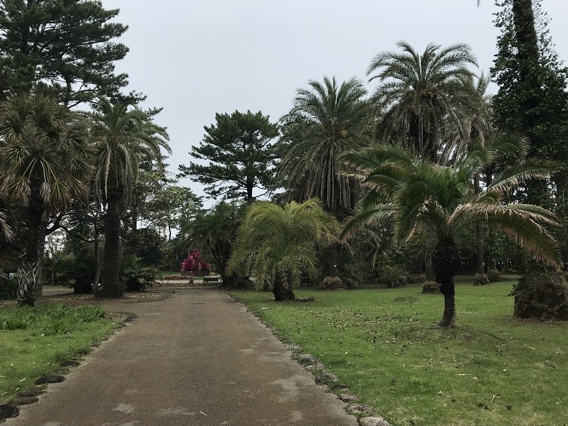 f:id:smachida:20190425145202j:plain