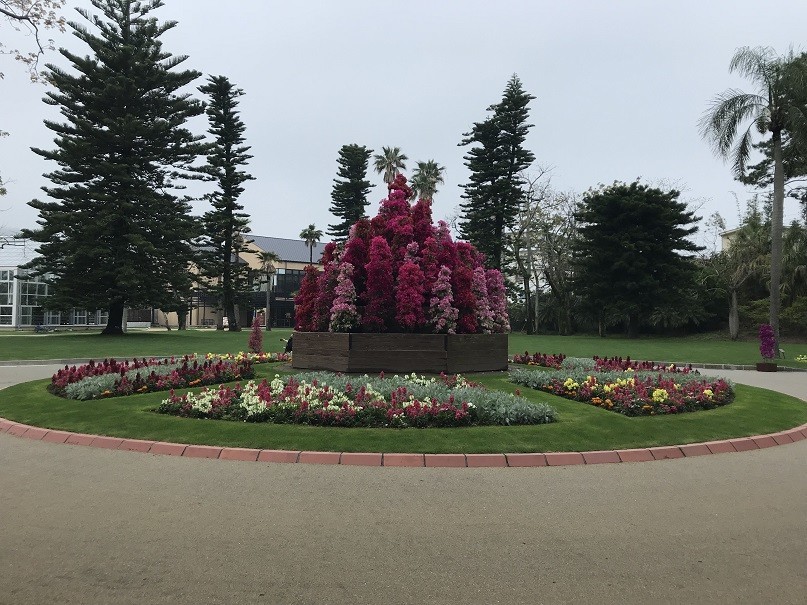 f:id:smachida:20190425145406j:plain