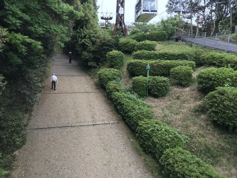 f:id:smachida:20190518100942j:plain