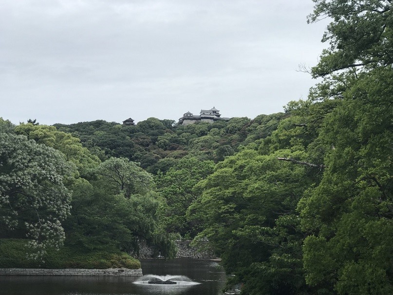 f:id:smachida:20190518154922j:plain