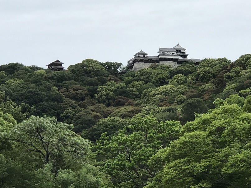 f:id:smachida:20190518154933j:plain