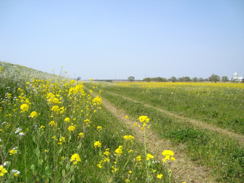 f:id:small-eco:20120408215320j:image:w360