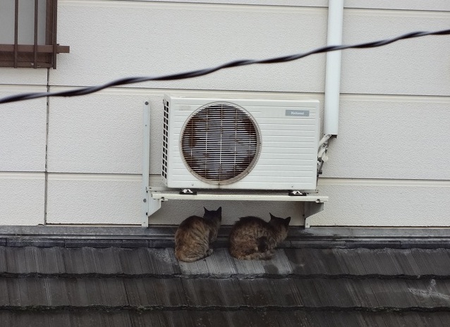 f:id:small-eco:20130420165909j:image:w360 f:id:small-eco:20130420165909j:image:w360