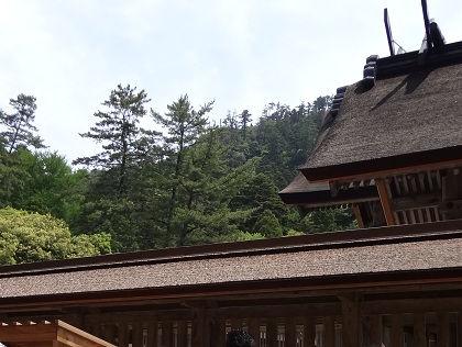 f:id:small-eco:20130523135424j:image:w360