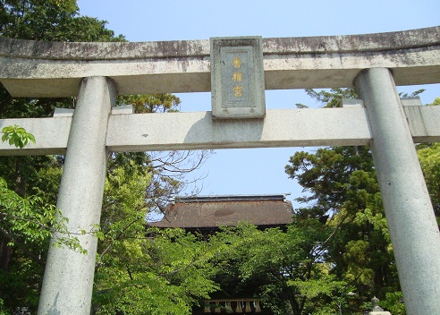f:id:small-eco:20130531145550j:image:w360