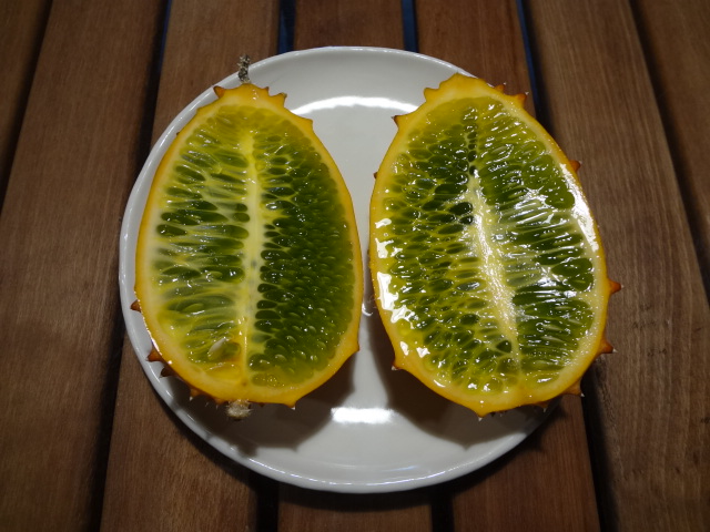 f:id:small-eco:20161116164416j:image:w360