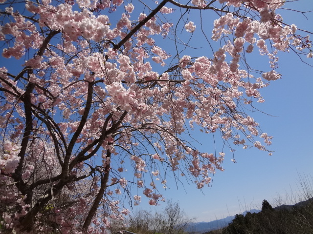 f:id:small-eco:20220406141153j:plain