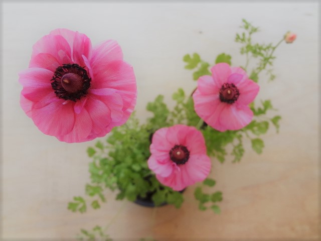 f:id:small-eco:20220406141806j:plain