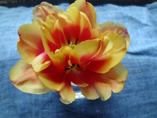 f:id:small-eco:20220413115941j:plain