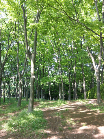 f:id:small_editor:20100517222713j:image f:id:small_editor:20100517222713j:image
