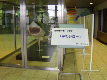 f:id:small_editor:20100818202849j:image