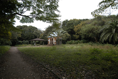 f:id:small_editor:20101123133154j:image