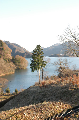 f:id:small_editor:20101206202944j:image