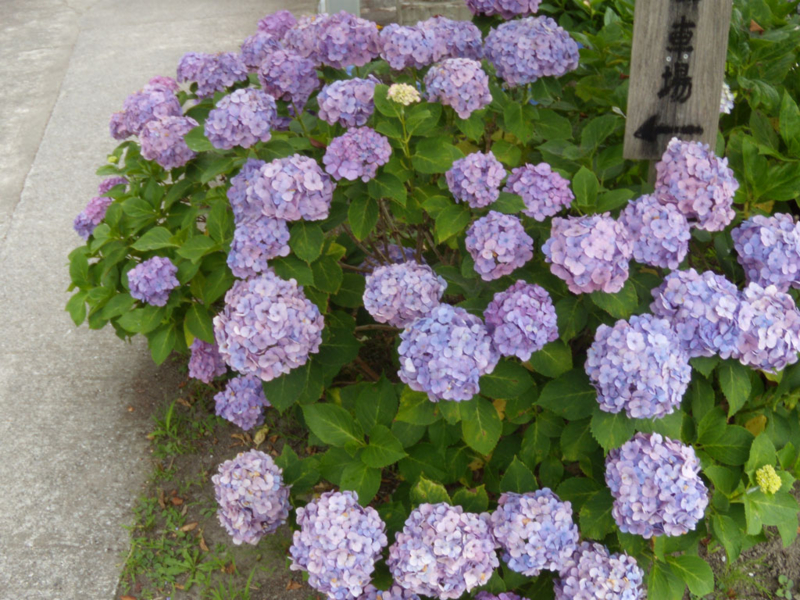 f:id:small_editor:20110703134650j:image:w640